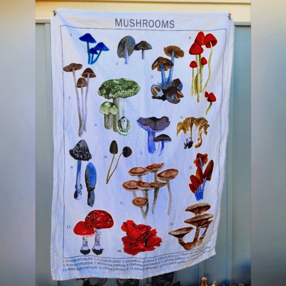 Mushrooms on Canvas Urban Outfitters 33×47